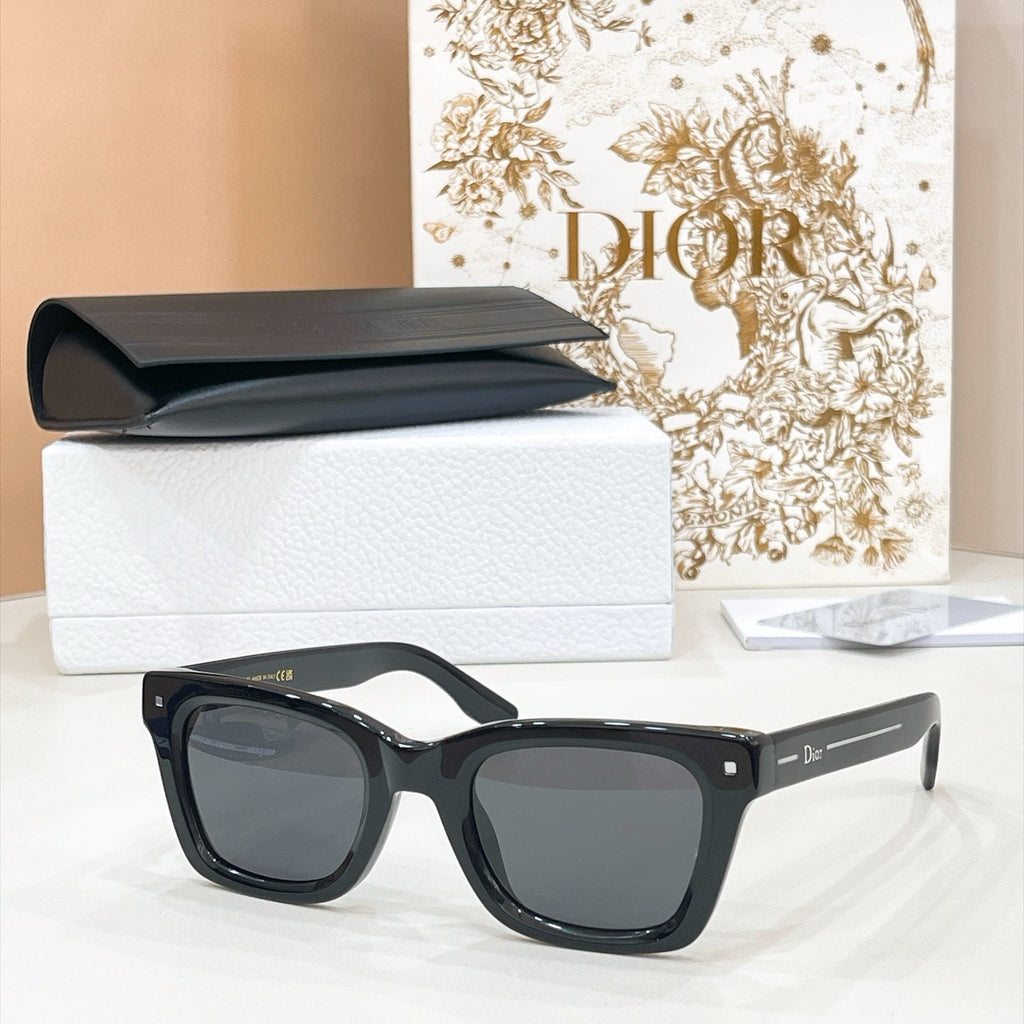 Dior Sunglasses – Dior Line S1F